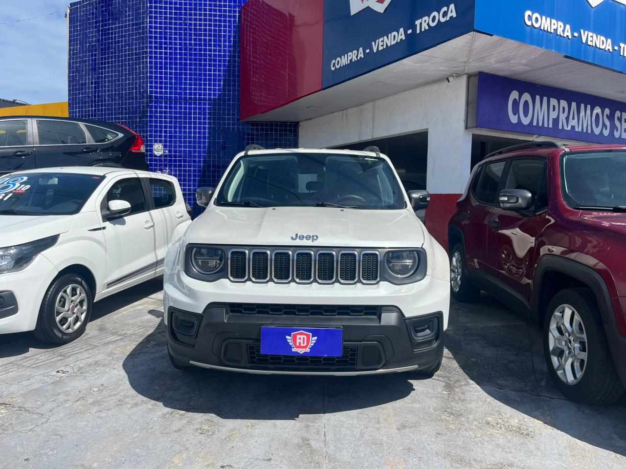 JEEP         RENEGADE